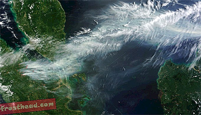 La fumée de plus de 800 incendies de forêt en Indonésie est en train de masquer l'Asie du Sud-Est