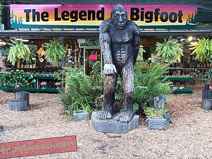 articles, nouvelles intelligentes, nouvelles intelligentes arts et culture - Trouvez Bigfoot, gagnez 10 millions de dollars