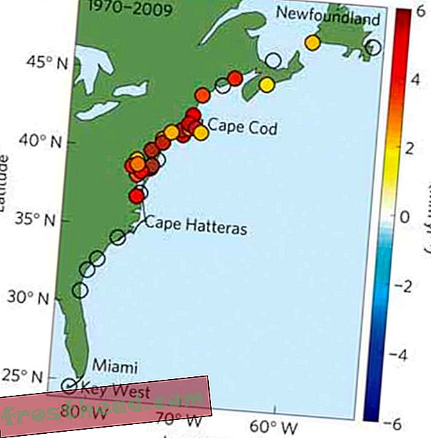 Artikel, Smart News, Smart News Science - Der Meeresspiegel steigt an der Nordostküste der USA dreimal schneller als der Durchschnitt