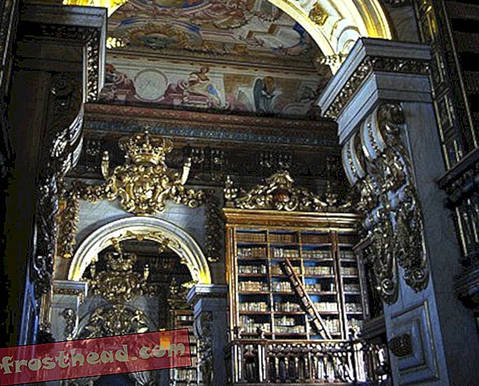 Прилепите действат като борба с вредителите в две стари португалски библиотеки