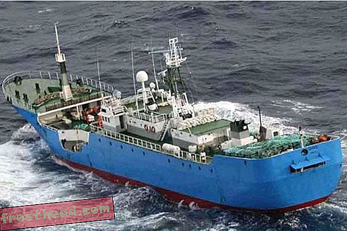 INTERPOL je za "Kačo" zloglasno ilegalno ribiško plovilo