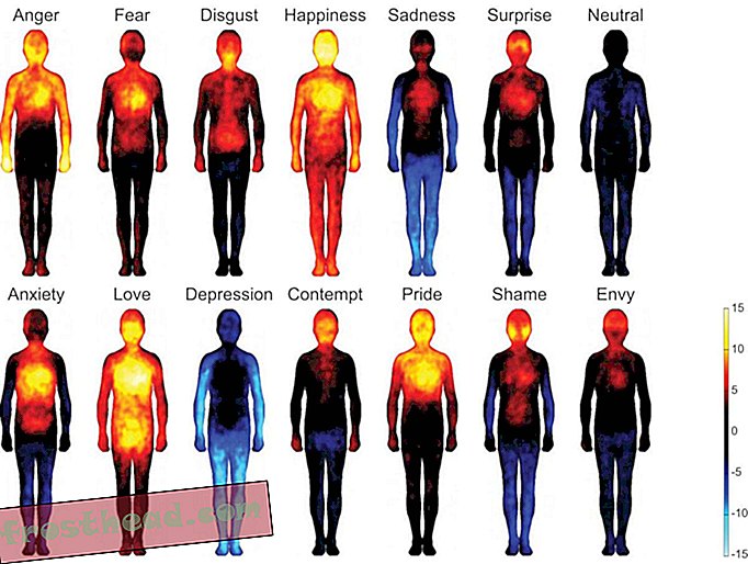 מצבים רגשיים שונים מתבטאים בנקודות שונות בגוף האדם