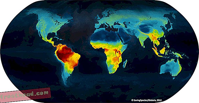 Αυτές οι όμορφες χάρτες δείχνουν όπου ζουν όλα τα γνωστά πουλιά, θηλαστικά και αμφίβια