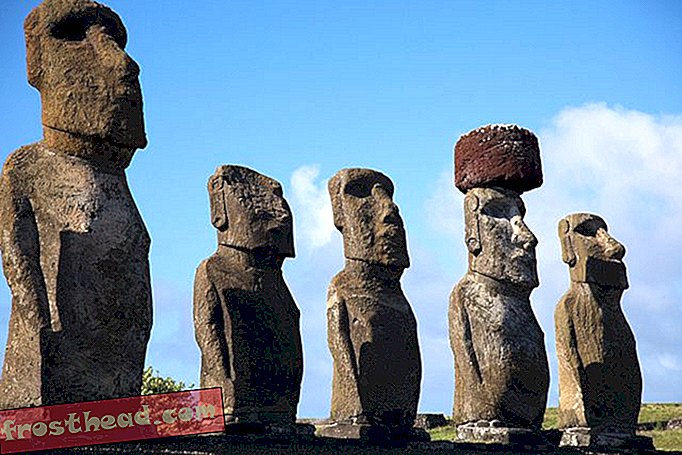 Easter Island Drug Gør mus lykkeligere, smartere
