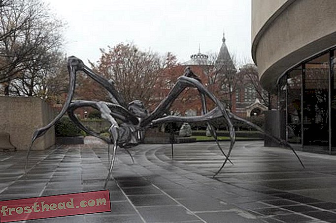 Une araignée de 100 millions d'années surprise en flagrant délit de bondir sur ses proies