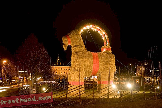 Cada año, una ciudad sueca construye una cabra de paja gigante, y la gente simplemente no puede evitar quemarla