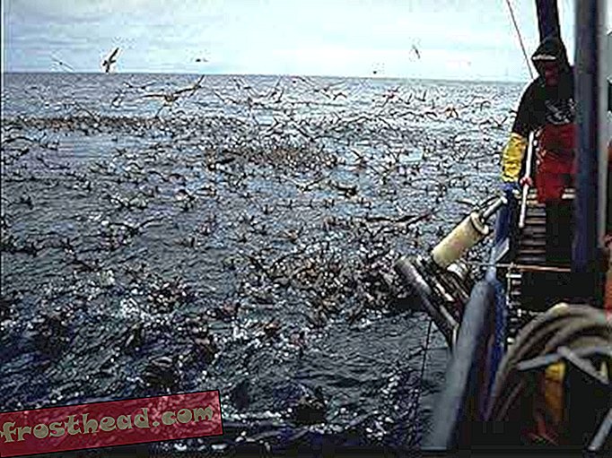 50 година рибара парангала који избацују угрожену половину свог улова