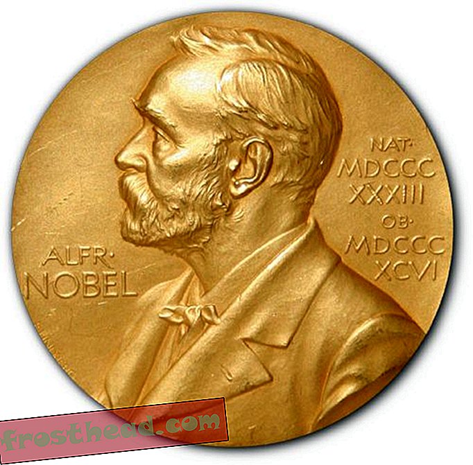 Krivite novinarstvo Noppy za Nobelove nagrade-članki, pametne novice, pametne novice, umetnost in kultura