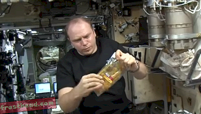 מאמרים, חדשות חכמות, מדע חדשות חכמות - הנה איך אסטרונאוטים יאכלו ארוחת חג ההודיה בחלל
