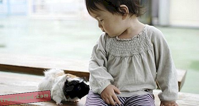 Živali lahko pomagajo otrokom z avtizmom več kot lahko igrače
