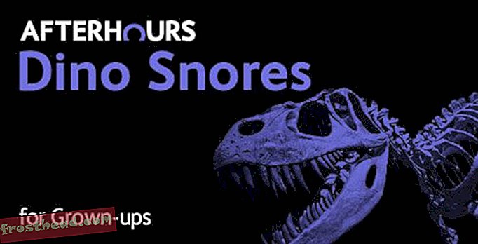 "לילה במוזיאון" למבוגרים מאפשר לך לישון עם דינוזאורים