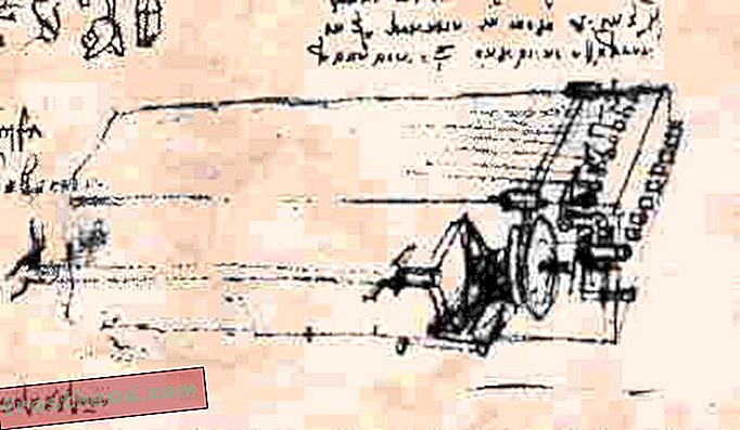 מאמרים, חדשות חכמות, אמנויות ותרבות חדשות חכמות - שמע, לראשונה, "ויולה אורגניסטה" הסקרנית של לאונרדו דה וינצ'י