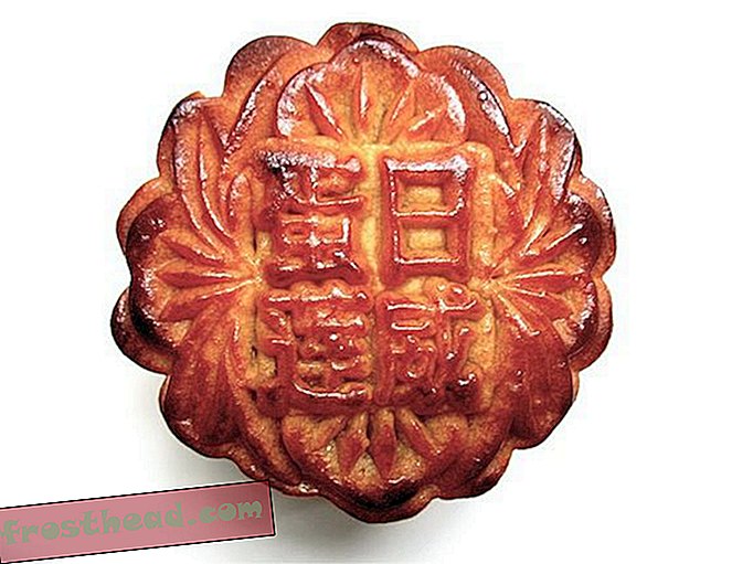 Les gâteaux de fruits sont un gâteau aux fruits en Chine — Les cadeaux traditionnels des fêtes que personne ne souhaite réellement