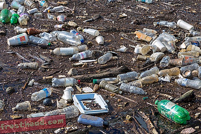 Червата на червей може да помогне за изхвърлянето на пластмасов боклук