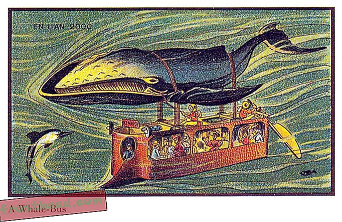 Может ли китовый автобус быть будущим транспорта?