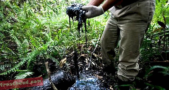 En ødelagt rør sølt olje oppstrøms Amazonas-elven