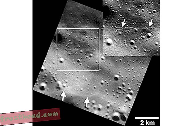 Merkur je tektonski aktivan, čineći ga jedinstvenim poput Zemlje