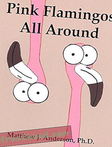 artikelen, bij de smithsonian, vraag smithsonian, wetenschap, dieren in het wild - Vraag Smithsonian: Waarom staan ​​flamingo's op één been?