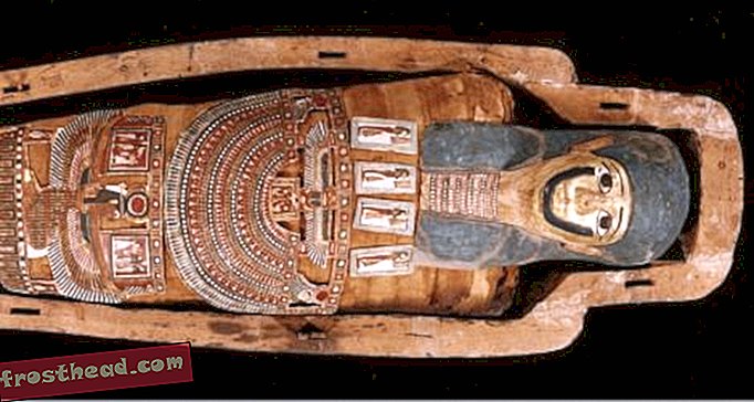 статьи, на смитсоновском, блоги, вокруг торгового центра - Египетские ритуалы мумификации раскрыты в естественной истории