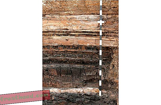 Roca sedimentaria, cuenca de Denver