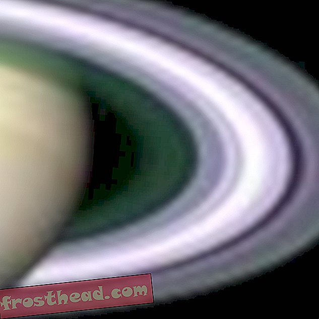 Fragen Sie Smithsonian: Wie viele Ringe hat Saturn?