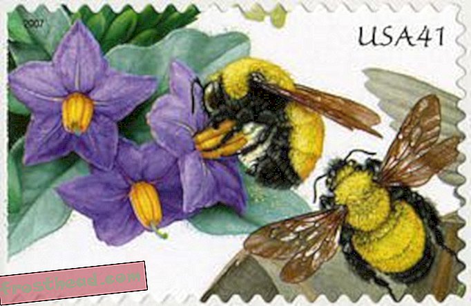 Semana del Smithsonian Events del 22 al 26 de junio: Los libros y las abejas y una película de Frank Capra