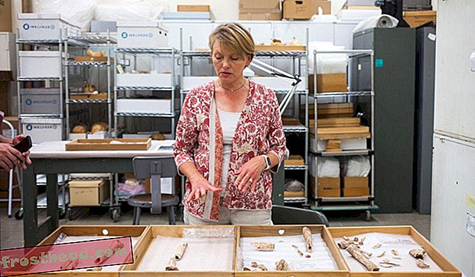 Kari Bruwelheide menerangkan serpihan-serpihan tulang yang memancarkan pelbagai penemuan arkeologi yang menakjubkan di tapak Second Bull Run.