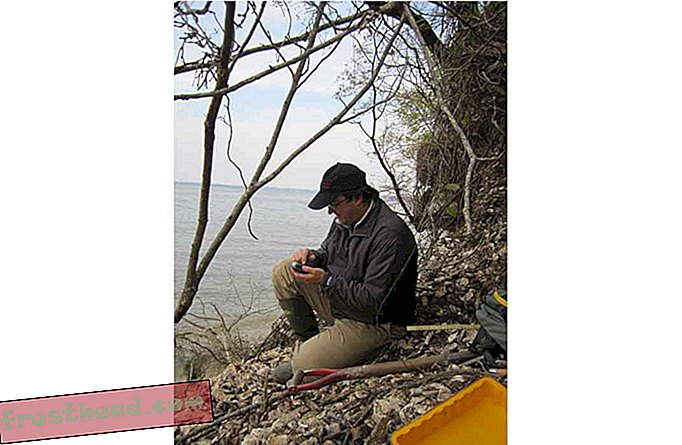 artículos, en el smithsonian, nueva investigación en smithsonian, ciencia, nuestro planeta - ¿Qué tan grandes eran las ostras en Chesapeake antes de la colonización?