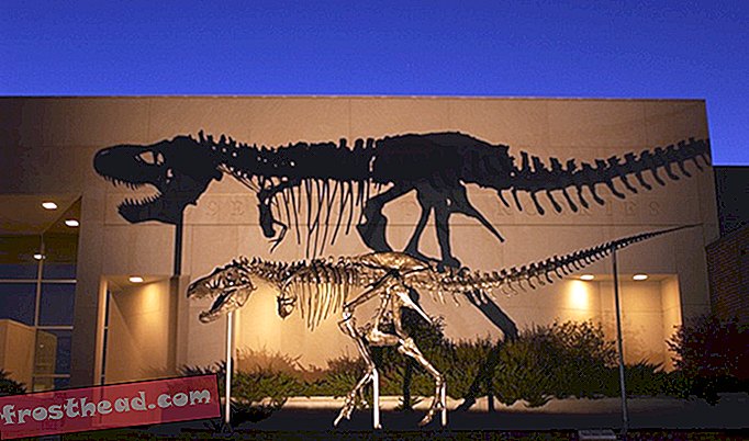 På grund af lukningen udsættes ankomst til Natural History Museums T. Rex indtil foråret