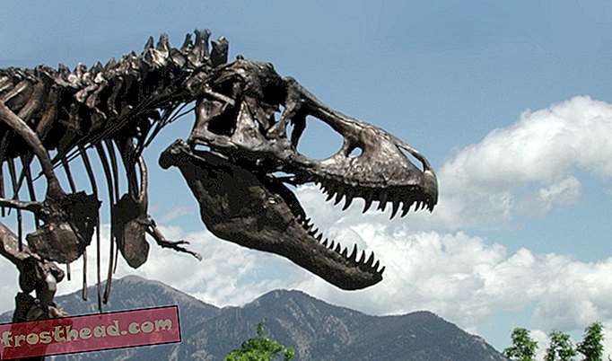 articles, au smithsonian, expositions, blogs, autour du centre commercial - À propos de Deep Time: aperçu de la rénovation du Fossil Hall du musée d'histoire naturelle