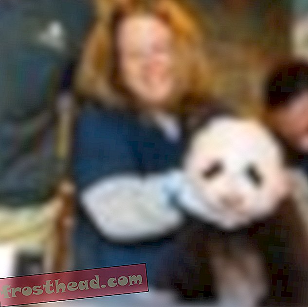 artikel aus den sammlungen in der smithsonian kuratorenecke - Welche großen Pandas haben mir das Parenting beigebracht?