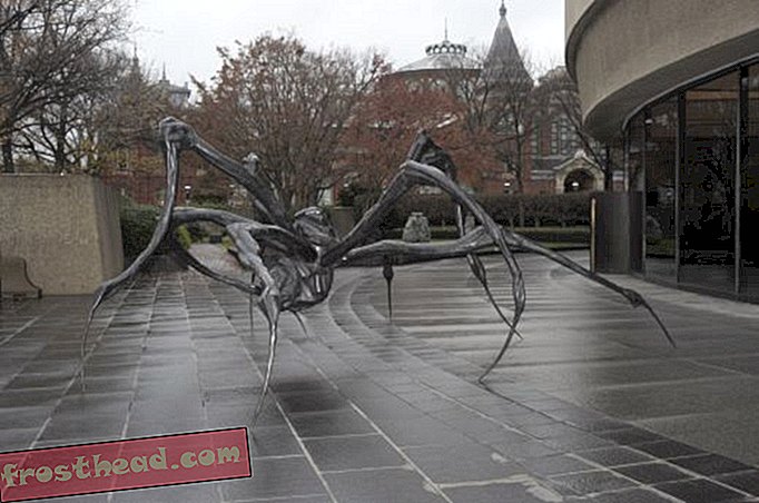 איש העכביש של מוזיאון ההיסטוריה הטבעית מדבר על בורז'ואה-מאמרים, בסמיתסוניאן, בלוגים ברחבי הקניון