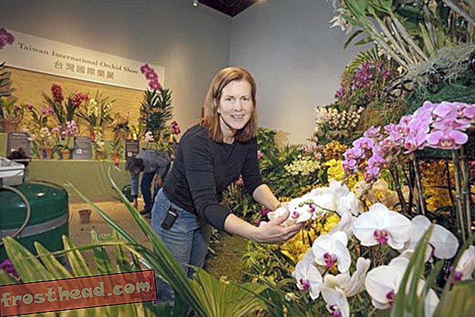 artikelen, op de smithsonian, blogs, rond het winkelcentrum - Tips van een Smithsonian Gardener voor het maken van een prachtig Valentijnsarrangement