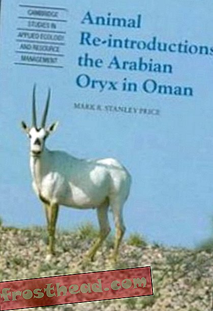 άρθρα, στο smithsonian, νέα έρευνα σε smithsonian, περιοδικό, επιστήμη, άγρια ​​ζωή - Smithsonian ερευνητές φέρνουν το Oryx Επιστροφή στο Άγριο