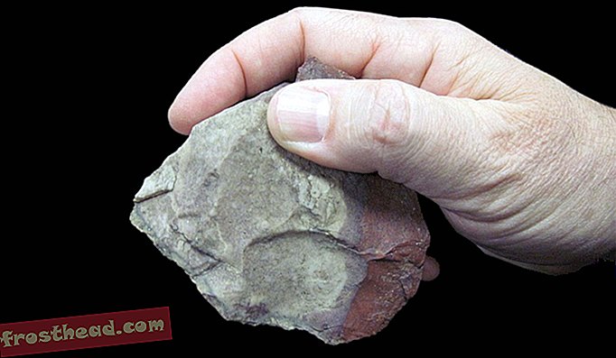 Među najstarijim artefaktima u Smithsonijevoj zbirci su sjeckani kamen, neke oštre kamene ljuskice i čekić, koji sadrži najstariji alat koji su napravili ljudski preci prije dva milijuna godina.