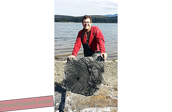קירק ג'ונסון של סמית'סוניאן צועד להיות כוכב הרוק של הגיאולוגיה