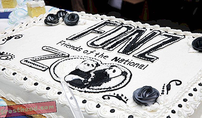 बाओ बाओ का पहला जन्मदिन मनाने के लिए शनिवार को सैकड़ों लोग लाइन में लगे। उनमें से कुछ ने एक काले और सफेद केक खा लिया।
