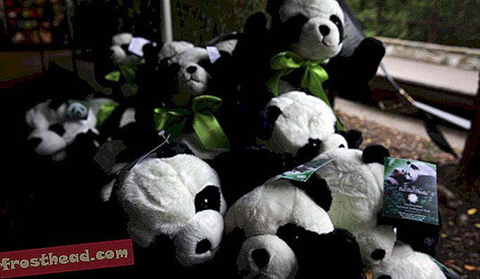 Бао Бао исполнился год в субботу. Она одна из трех гигантских панд в Национальном зоопарке.