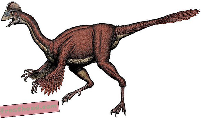 Los científicos descubren un dinosaurio grande y emplumado que una vez recorrió América del Norte