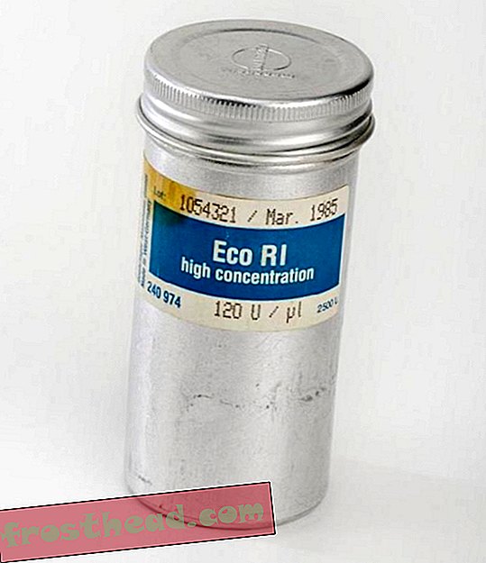 contenitore per Eco R1