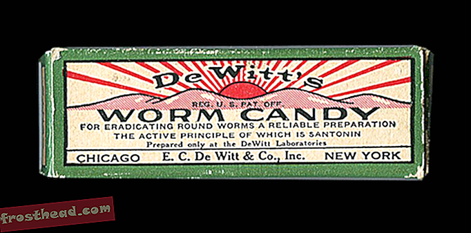 I vermi rotondi non potevano competere con Worm Candy!