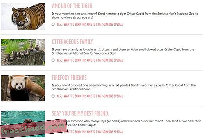 По мнению девяти из десяти существ зоопарка, каламбуры животных - самый романтичный подарок, который вы можете сделать.