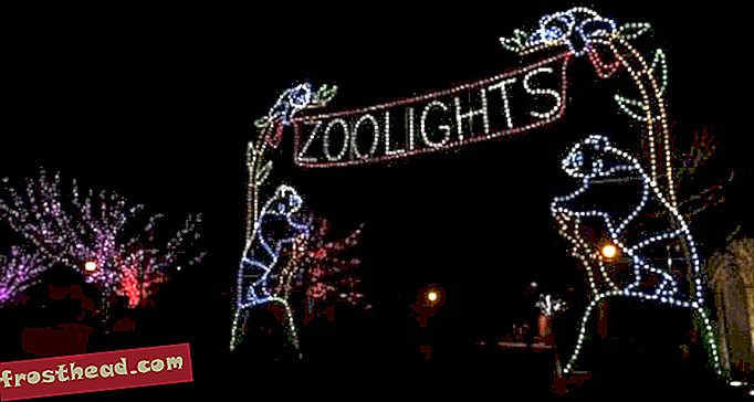 אירועי סוף השבוע 30 בדצמבר - 1 בינואר: אוצרות במוזיאון, טיסות מפוארות ויום אורות גן החיות האחרון-מאמרים, בסמיתסוניאן, בלוגים ברחבי הקניון
