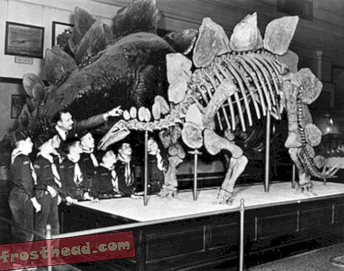 artículos, en el smithsonian, blogs, alrededor del centro comercial - Concurso de escritura de subtítulos del Smithsonian # 6: Scoutosaurus