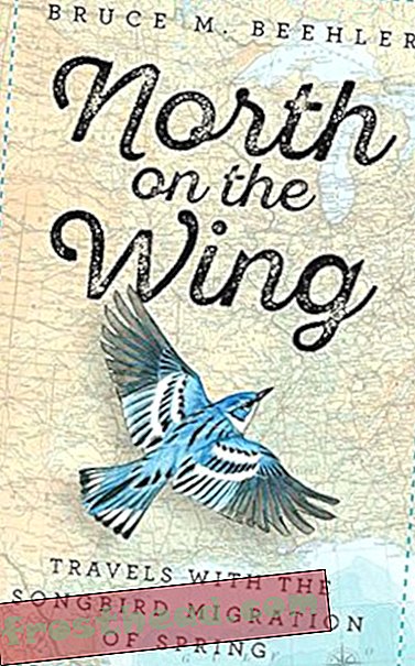 Preview thumbnail for 'North on the Wing: Travels with the Songbird Migration of Spring