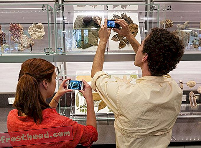 Las muestras de museo se pueden digitalizar y guardar para futuros proyectos en las guías de campo digitales de los estudiantes.
