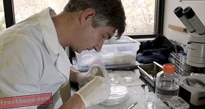 Dos científicos del Smithsonian reciben premio presidencial
