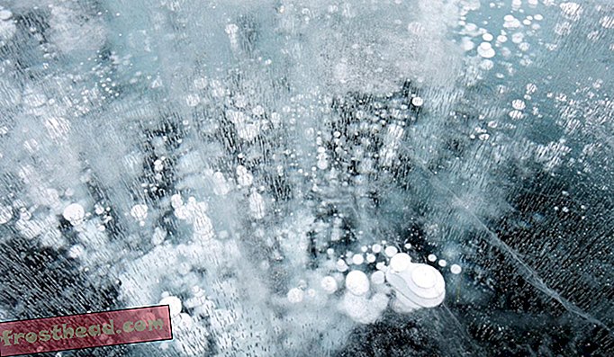 Метан клатрати који се ослобађају седимената у руском Бајкалу изгледају као да лепршају кроз лед.