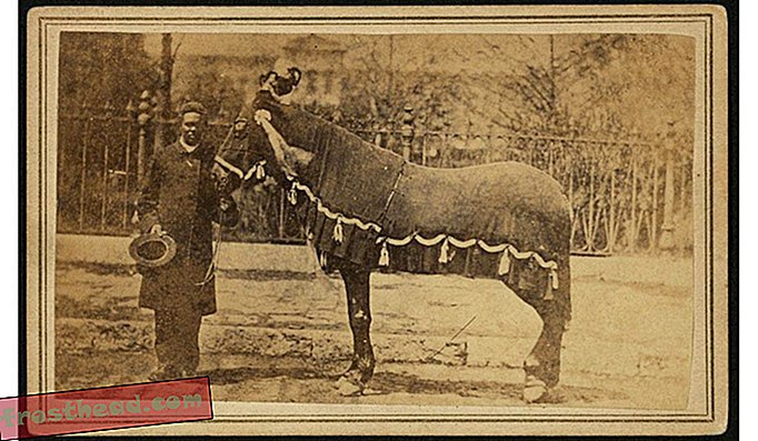 リンカーンの葬儀の日にアブラハム・リンカーンの馬と一緒にヘンリー・ブラウン牧師
