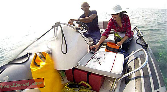 Kavandatud uus merereservide süsteem pakub nii homaari kui ka homaari kalurile Rosy Outlooki